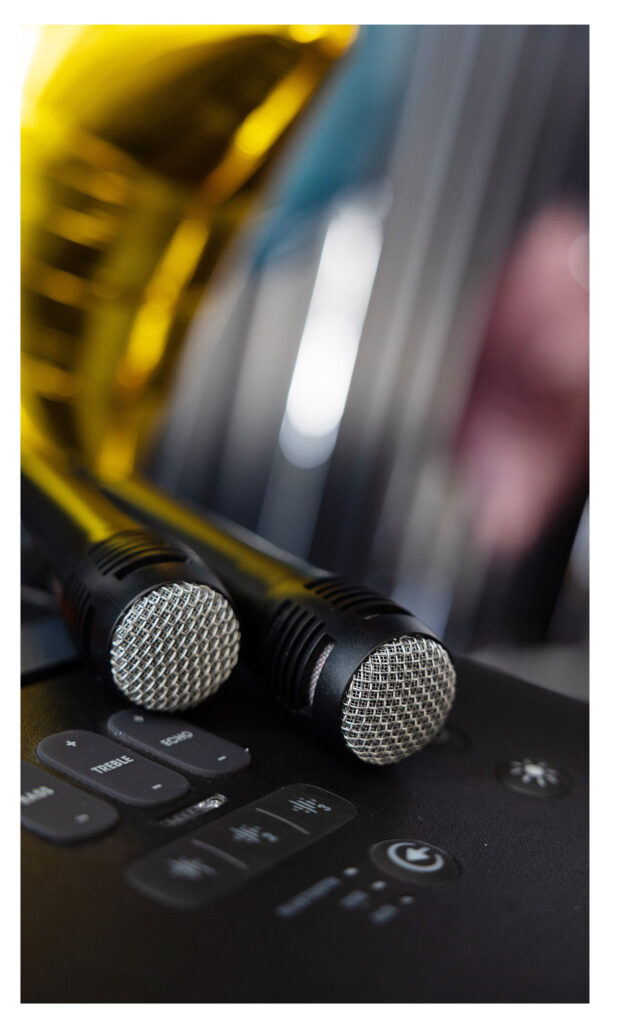 Musikbox mit Karaokemikros